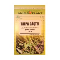 Motherwort, Leonorus cardiaca, aerial part, chopped tea plant, 50g